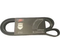 Ремень 1795 8РК EPDM ATHLЕT для а/м с двигателем Cummins EQB 140-20, C220-20, ISLe290-41, ISL300-30 ZOMMER Z 8PK1795A