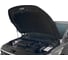 Газовые упоры капота Geely Emgrand 7 II поколение 2023-н.в., 2 шт Rival A.ST.1906.1 3