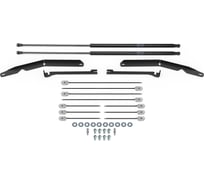 Газовые упоры капота Geely Coolray SX11 2023-н.в, только рынок РФ, 2 шт Rival A.ST.1908.1