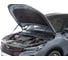 Газовые упоры капота Geely Coolray SX11 2023-н.в, только рынок РФ, 2 шт Rival A.ST.1908.1 3
