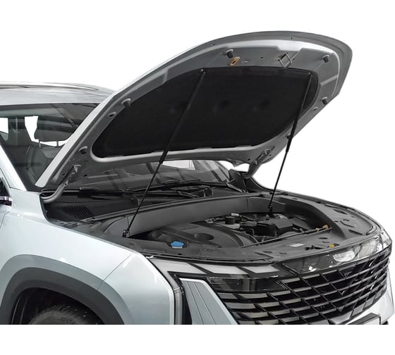 Газовые упоры капота Geely Atlas II 2023-н.в., только рынок РФ, 2 шт АвтоУпор UGEATL022