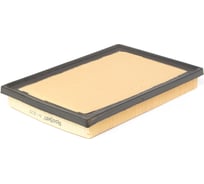 Фильтр воздушный Toyota 17801-38010, A-33960 A1521 REDSKIN A1029