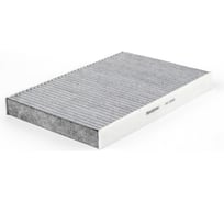 Фильтр салонный 2994769 REDSKIN CAC-22060