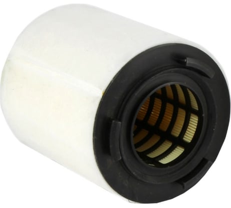 Фильтр воздушный C15008, 6R0129620A, LX2831 Rapid 12-, A1 12- REDSKIN A0497