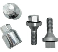 Комплект секретных болтов секретный болт 4 шт, спец. ключ 2 шт STARLEKS C675110NNI-2Key