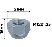 Гайка конус SKYWAY M12x1.25 открытая 16мм кл21мм цинк 012 комплект 20 шт S10602012/K