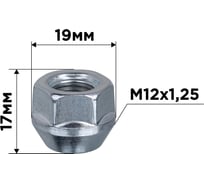 Гайка конус SKYWAY M12x1.25 открытая 17мм кл19мм цинк 011 комп.20 шт S10602011/K