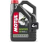 Моторное масло MOTUL SNOWPOWER 2T 4 л 112748