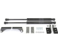 Газовые упоры Rival для капота Volkswagen Jetta VI 2010-2019, 2 шт., A.ST.5805.1