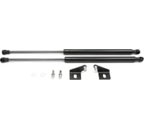 Газовые упоры Rival капота для Chevrolet Aveo T300 2011-2015, 2 шт., A.ST.1002.1