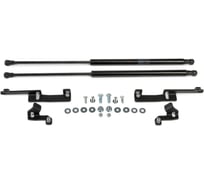 Газовые упоры Rival для капота Toyota RAV 4 XA30 2005-2010, 2 шт., A.ST.5713.1