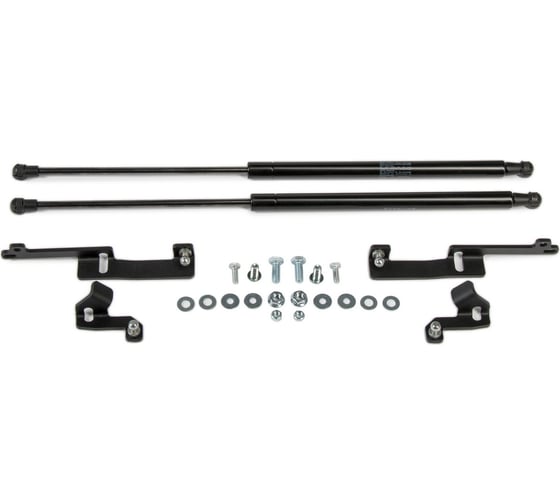 Газовые упоры Rival для капота Toyota RAV 4 XA30 2005-2010, 2 шт., A.ST.5713.1 1