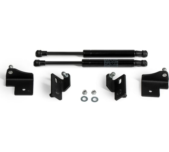 Газовые упоры Rival для капота Ford Focus III 2011-2019, 2 шт., A.ST.1801.1 1