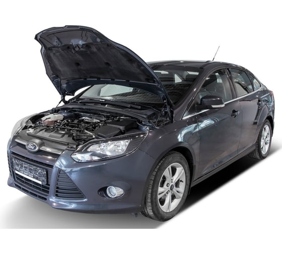 Газовые упоры Rival для капота Ford Focus III 2011-2019, 2 шт., A.ST.1801.1