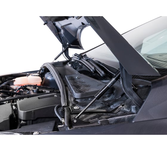 Газовые упоры Rival для капота Ford Focus III 2011-2019, 2 шт., A.ST.1801.1