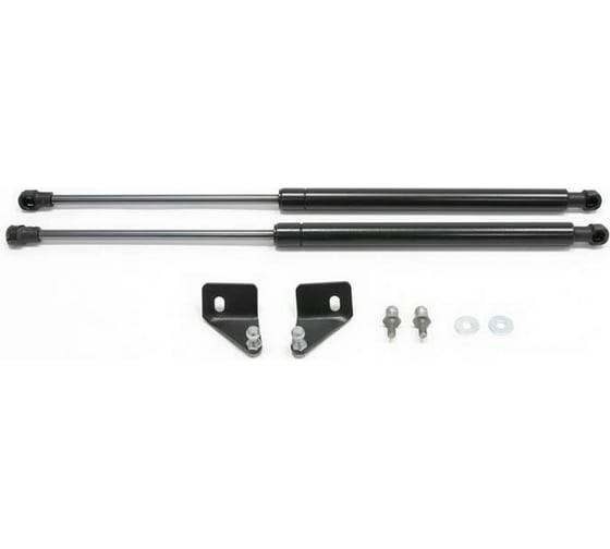 Газовые упоры Rival для капота Renault Sandero I 2009-2014/Sandero Stepway I 2010-2014, 2 шт., A.ST.4702.1 1