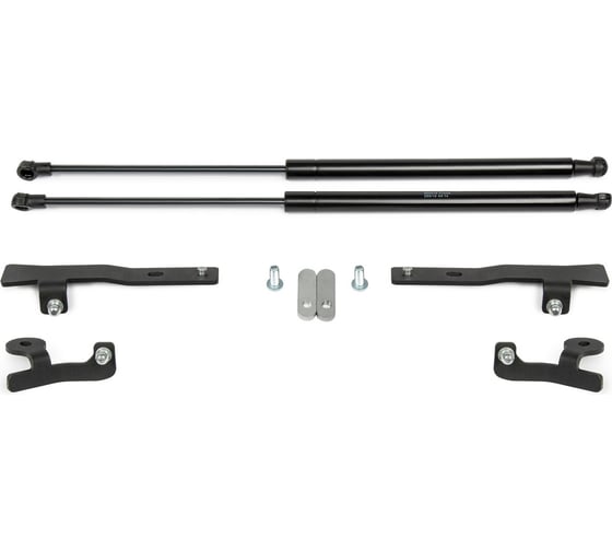 Газовые упоры Rival для капота Haval H6 2014-2020, 2 шт., A.ST.9402.1