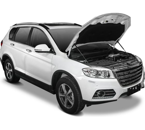 Газовые упоры Rival для капота Haval H6 2014-2020, 2 шт., A.ST.9402.1