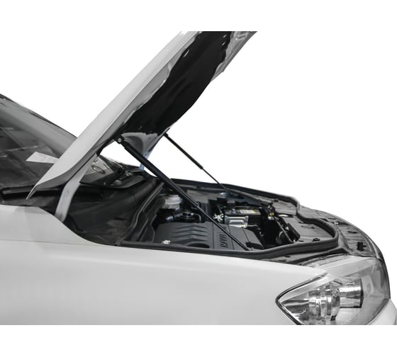 Газовые упоры Rival для капота Haval H6 2014-2020, 2 шт., A.ST.9402.1