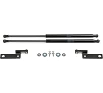 Газовые упоры Rival для капота Mitsubishi Lancer IX 2003-2010, 2 шт., A.ST.4013.1