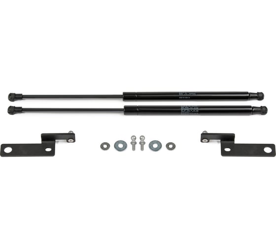 Газовые упоры Rival для капота Mitsubishi Lancer IX 2003-2010, 2 шт., A.ST.4013.1
