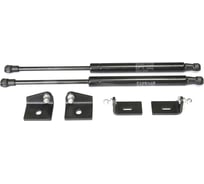 Газовые упоры Rival капота для Citroen C4 II 2010-2016, 2 шт., A.ST.1201.1