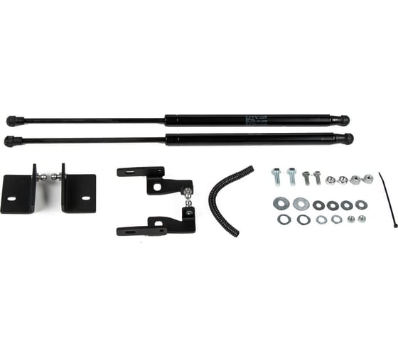 Газовые упоры Rival для капота Mitsubishi Outlander III 2012-2018 2018-н.в., 2 шт., A.ST.4006.1 1