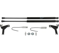 Газовые упоры Rival для капота Ford Focus II 2005-2011, 2 шт., A.ST.1810.1
