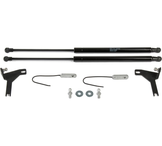Газовые упоры Rival для капота Ford Focus II 2005-2011, 2 шт., A.ST.1810.1