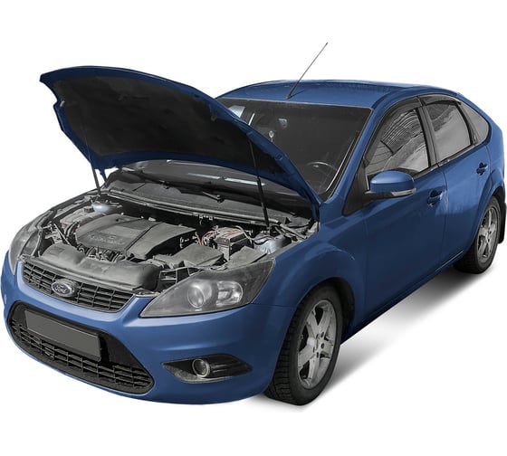 Газовые упоры Rival для капота Ford Focus II 2005-2011, 2 шт., A.ST.1810.1