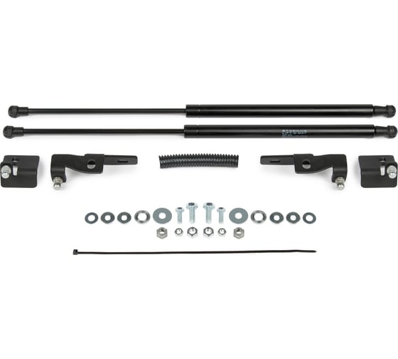 Газовые упоры Rival для капота Mitsubishi Outlander XL 2005-2012, 2 шт., A.ST.4014.1 1