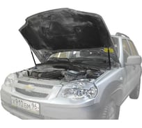 Газовые упоры Rival капота для Chevrolet Niva 2002-2020, 2 шт., A.ST.1004.1