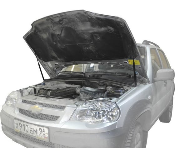 Газовые упоры Rival капота для Chevrolet Niva 2002-2020, 2 шт., A.ST.1004.1