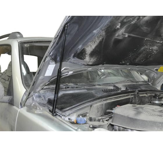 Газовые упоры Rival капота для Chevrolet Niva 2002-2020, 2 шт., A.ST.1004.1