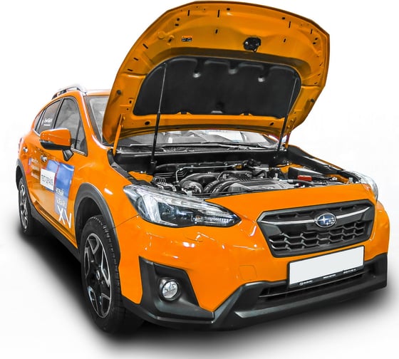 Газовые упоры Rival для капота Subaru XV II 2017-н.в., 2 шт., A.ST.5401.1