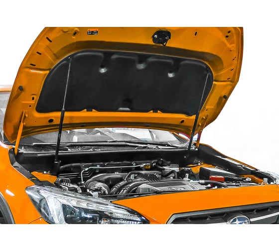 Газовые упоры Rival для капота Subaru XV II 2017-н.в., 2 шт., A.ST.5401.1