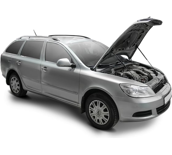 Газовые упоры Rival для капота Skoda Octavia A5 2004-2013, 2 шт., A.ST.5109.1