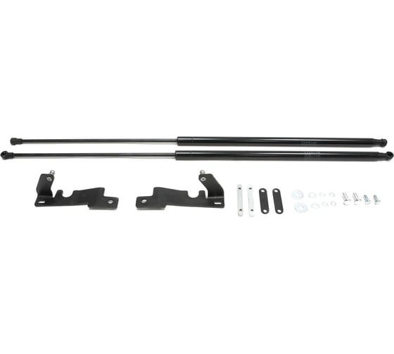 Газовые упоры Rival для капота Ravon R2 2016-н.в., 2 шт., A.ST.1301.1