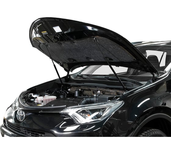 Газовые упоры Rival для капота Toyota RAV 4 CA40 2012-2019, 2 шт., A.ST.5707.1