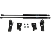 Газовые упоры Rival для капота Volkswagen Tiguan I рестайлинг 2011-2017, 2 шт., A.ST.5802.1