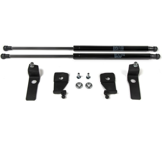 Газовые упоры Rival для капота Volkswagen Tiguan I рестайлинг 2011-2017, 2 шт., A.ST.5802.1 1