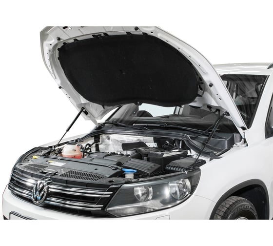 Газовые упоры Rival для капота Volkswagen Tiguan I рестайлинг 2011-2017, 2 шт., A.ST.5802.1