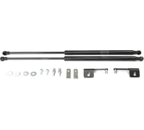 Газовые упоры Rival капота для Chevrolet TrailBlazer II 2012-2016, 2 шт., A.ST.1003.1