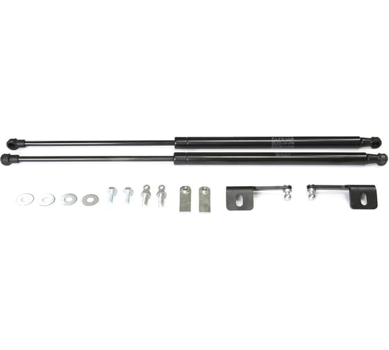 Газовые упоры Rival капота для Chevrolet TrailBlazer II 2012-2016, 2 шт., A.ST.1003.1