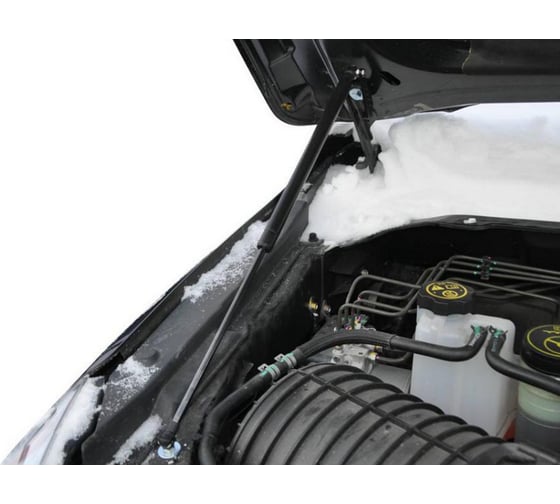 Газовые упоры Rival капота для Chevrolet TrailBlazer II 2012-2016, 2 шт., A.ST.1003.1