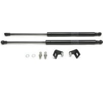 Газовые упоры Rival для капота Skoda Fabia II 2007-2014/Roomster I 2006-2015, 2 шт., A.ST.5101.1