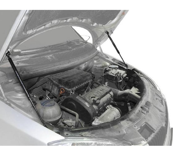 Газовые упоры Rival для капота Skoda Fabia II 2007-2014/Roomster I 2006-2015, 2 шт., A.ST.5101.1