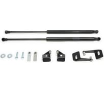Газовые упоры Rival для капота Mitsubishi Lancer X 2007-2015, 2 шт., A.ST.4003.1