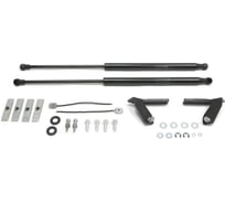 Газовые упоры Rival для капота Suzuki Vitara IV 2015-2018, 2 шт., A.ST.5503.1