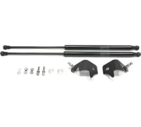 Газовые упоры Rival для капота Nissan Tiida II 2015-2016, 2 шт., A.ST.4114.1